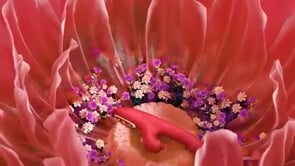 Warrior - Thrusting Vibrator Dildo